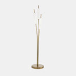 TYPHA