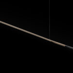 ILO 487