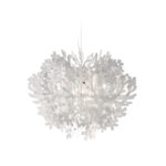 FIORELLA SUSPENSION