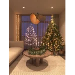 KOSHI I