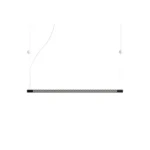 SQUIGGLE - Slika 6