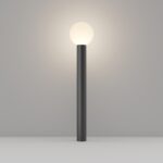 BOLD - Slika 2