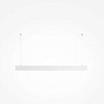 BASIS - Slika 4